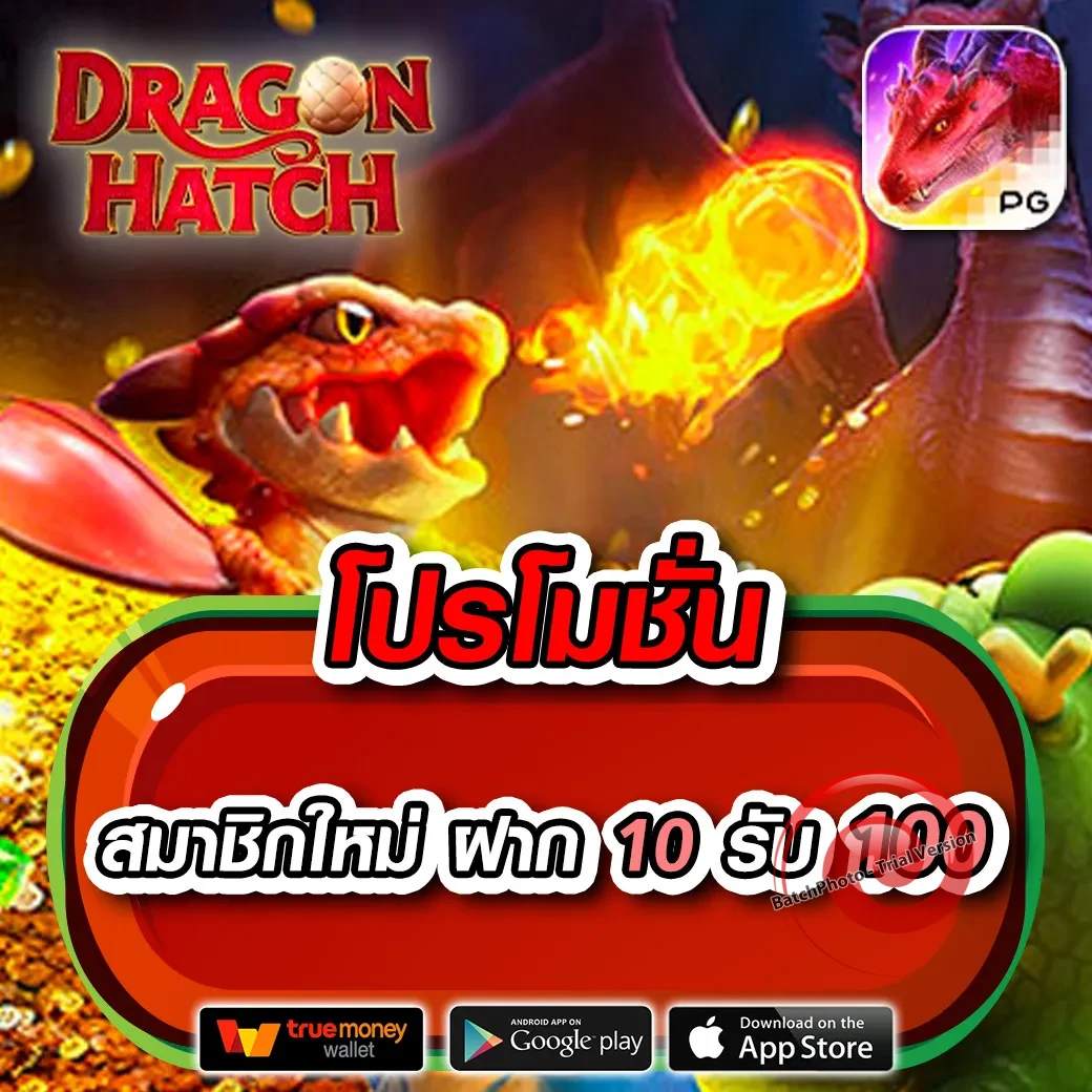 เว็บ 365bet